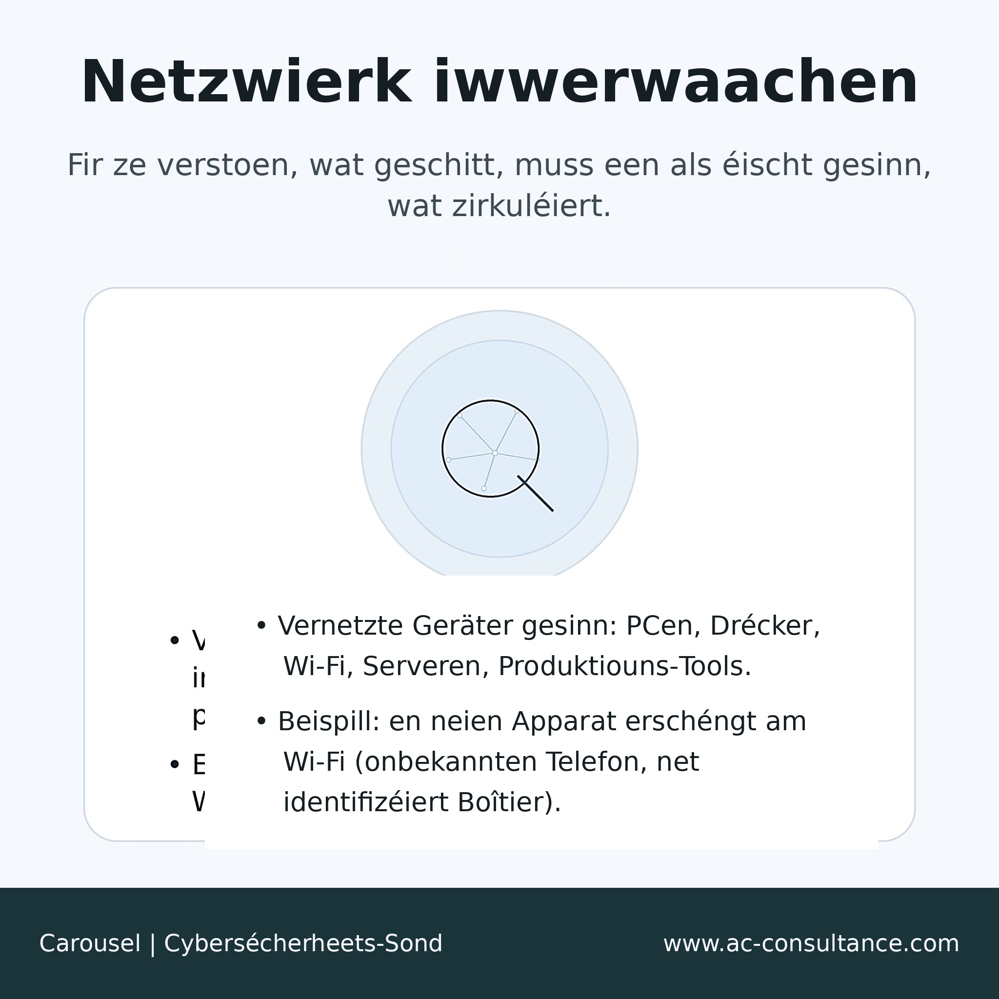 Wat ass eng Cybersécherheets-Sond (Probe) ?