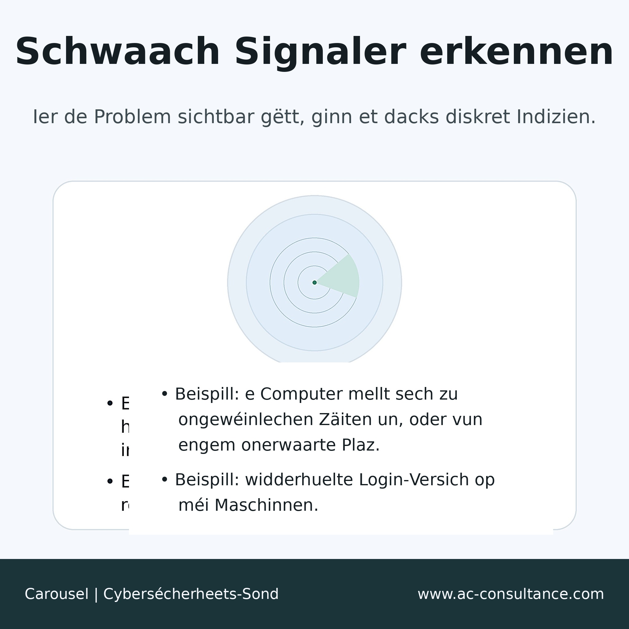 Wat ass eng Cybersécherheets-Sond (Probe) ?