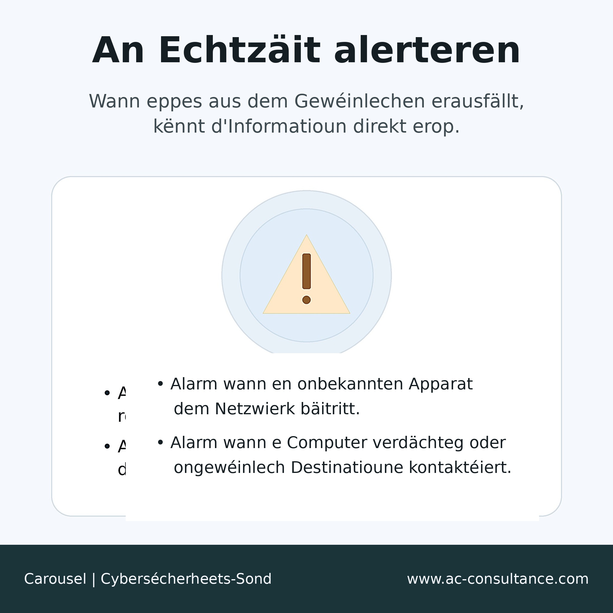 Wat ass eng Cybersécherheets-Sond (Probe) ?